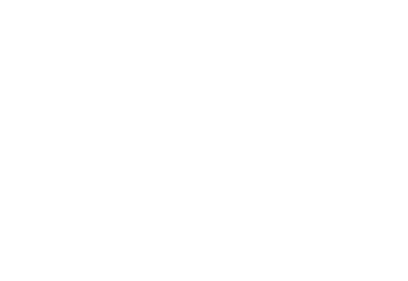 Havas Media